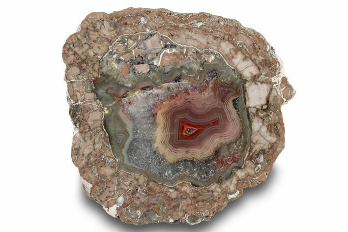 Polished Baker Ranch Thunderegg (Half) - New Mexico #245256